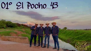 El Pocho 43 | Los Naipes De Sinaloa