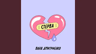 Стерва