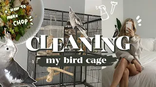 CLEANING MY BIRDCAGE + how i make chop 🥕🥬 | what’s in my cockatiels cage?