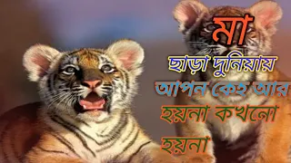 Two brothers Movie explained in bangla