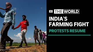 India farming protests regain momentum one year after passage of controversial laws | The World