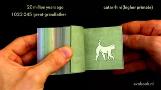 550 million years of human evolution flipbook