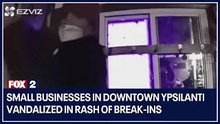 Small businesses in downtown Ypsilanti vandalized in rash of break-ins