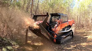 EXPLODING WHOLE TREES LIKE CONFETTI! Rut Disc Mulcher VS Drum Mulcher! Which Is Better!