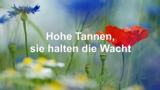 Hohe Tannen. Ronny. Mit Text/Lyrics (HD 1080p)