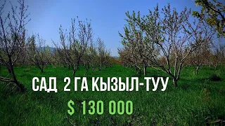 ПРОДАЕТСЯ ГОТОВЫЙ БИЗНЕС  САД 2 ГА