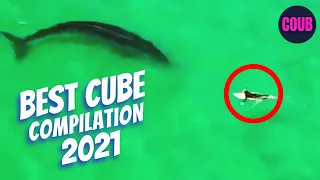 приколы - Best Coub Compilation 2021 🔥🔥🔥