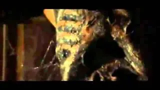 Jeeper creepers 3 trailer