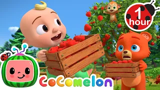 Hungry Tummy | Cocomelon Animal Time Nursery Rhymes & Songs for Kids