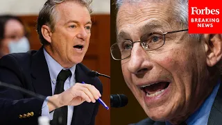 JUST IN: Rand Paul And Dr. Fauci Engage In Another Epic Senate Clash: 'Reprehensible!'