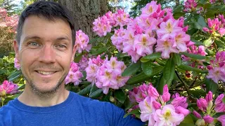 Rhododendron Garden Tour 2023 | Flowers are Blooming at Kincaid's Nursery