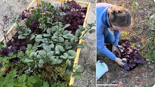 Planting Shade Loving Perennials! Zone 3 | Simply Bloom