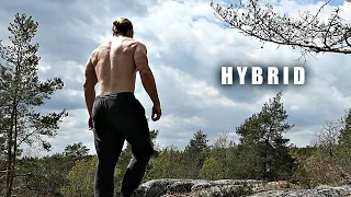 Hybrid Training: Calisthenics & Weights - Always Workout