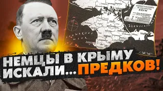 Оказывается ВОТ ЧТО Гитлер хотел сделать с Крымом! Проект Gotenland.