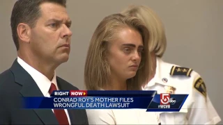 Mom files $4.2M suit against woman in texting suicide case