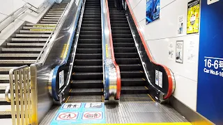 Japan/JR Tokyo Station Tokaido-SHINKANSEN Area 4x Escalator