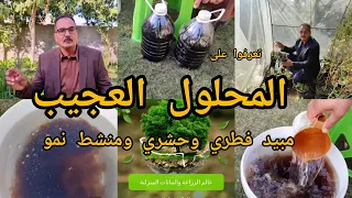 المحلول العجيب بالمنزل يغنيك عن المبيدات الحشرية والفطرية بل إنه منشط نمو للنباتات انه الخل vinegar