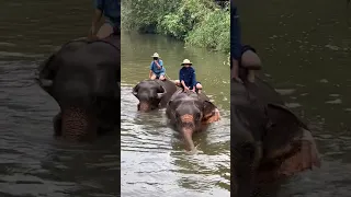 ศูนย์อนุรักษ์ช้างไทย จ.ลำปาง