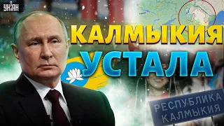 "Дайте нам свободу": Путин теряет первую республику! Калмыкия требует независимости | Прямой эфир