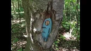 20 Mysterious Fairy Doors Have Been Discovered On A Remote Nature Trail