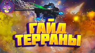 ГАЙД ТЕРРАНЫ: три билда для выхода в Мастер Starcraft 2