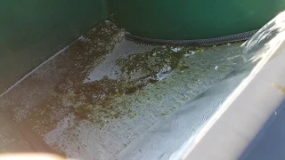 Koi pond sieve filter 24 hr update