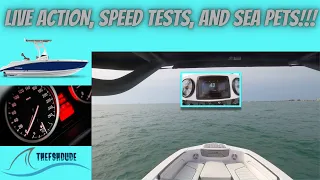 Live Action, Dash Cam, Speed Test, and Sea Pets!! FUNNY OUTTAKE AT THE END on Yamaha 210 FSH Sport