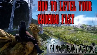 Final Fantasy 15 Tips & Trick - Easy Method To Level Your Chocobo