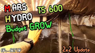 Mars Hydro 2x2 Grow tent + TS 600 Light || Set up and review ||  Ep 1  #MarsHydroCup