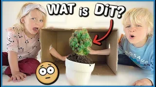 WHAT'S iN THE BOX CHALLENGE 🌵 | Luan Bellinga #90