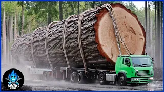 250 Most DANGEROUS Huge Wood Logging Truck  Operator Skill Working At Another Level