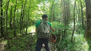 Перші Гриби Пішли! Тут Рідко бувають Грибники! Непрохідний ліс, болота, хащі! Травень 2024 року.