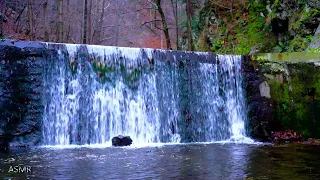 4 hours - The gentle cascading sound of the river flowing through the forest. White noise for sleep.
