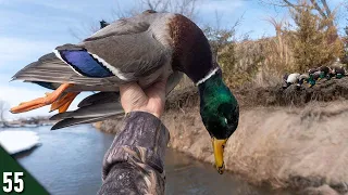 Hunting MALLARDS from A CLIFF Blind | River Hunting Ducks and Geese