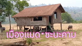 Laos Travel :เมืองแมด - ซะนะคาม แขวงเวียงจันทน์ 🇱🇦