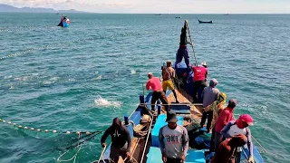 PUKAT CINCIN, Nelayan Aceh Dapat Banyak kawanan Ikan Tongkol di laut Banda Aceh || KM.YORDAN - 02