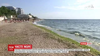 Морська вода на одеських пляжах чиста і прозора