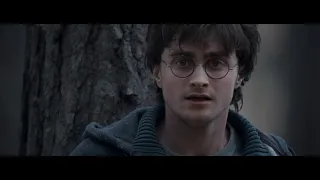 Harry Potter 7.1 deleted scenes (Harry-Ron rabbit-chase / Ron-Hermione skipping rocks) in context
