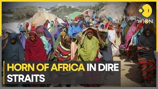 UN seeks $7 billion to avert Horn of Africa crisis | WION Climate Tracker