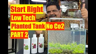 How to Start Right | Low Tech - No co2 Planted Aquarium PART 2 | Mayur Dev Aquascaper 4K