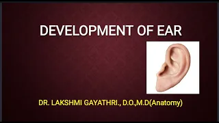 EMBRYOLOGY/ DEVELOPMENT OF EAR AND ITS ANOMALIES