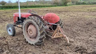 Vintage Thursday. Ferguson subsoiler at work.