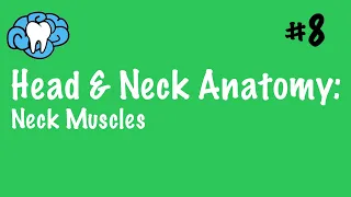 Head & Neck Anatomy | Triangles of the Neck & Neck Muscles | INBDE