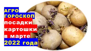 Агрогороскоп посадки та яровізації картоплі у березні 2022 року