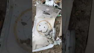 M80 FIREWORK ABSOLUTELY DESTROYS MICROWAVE!!!!