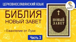 Библия. Новый Завет на церковнославянском языке. Евангелие от Луки. Часть 3.