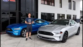 What are the BEST options for a 2019 Ford Mustang EcoBoost?
