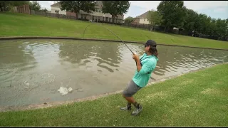 How to Catch a Fish (the easy way)