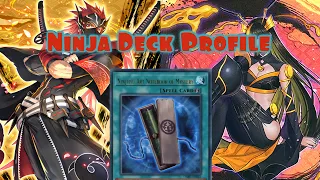 Yu-Gi-Oh Ninja deck profile 2024