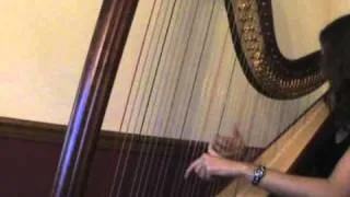 Kamelot's "Don't You Cry" - Harp Cover